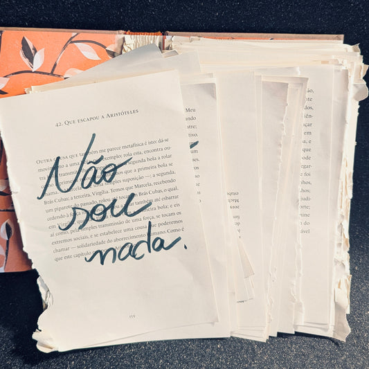 Book Pages from the Dreamerie Video