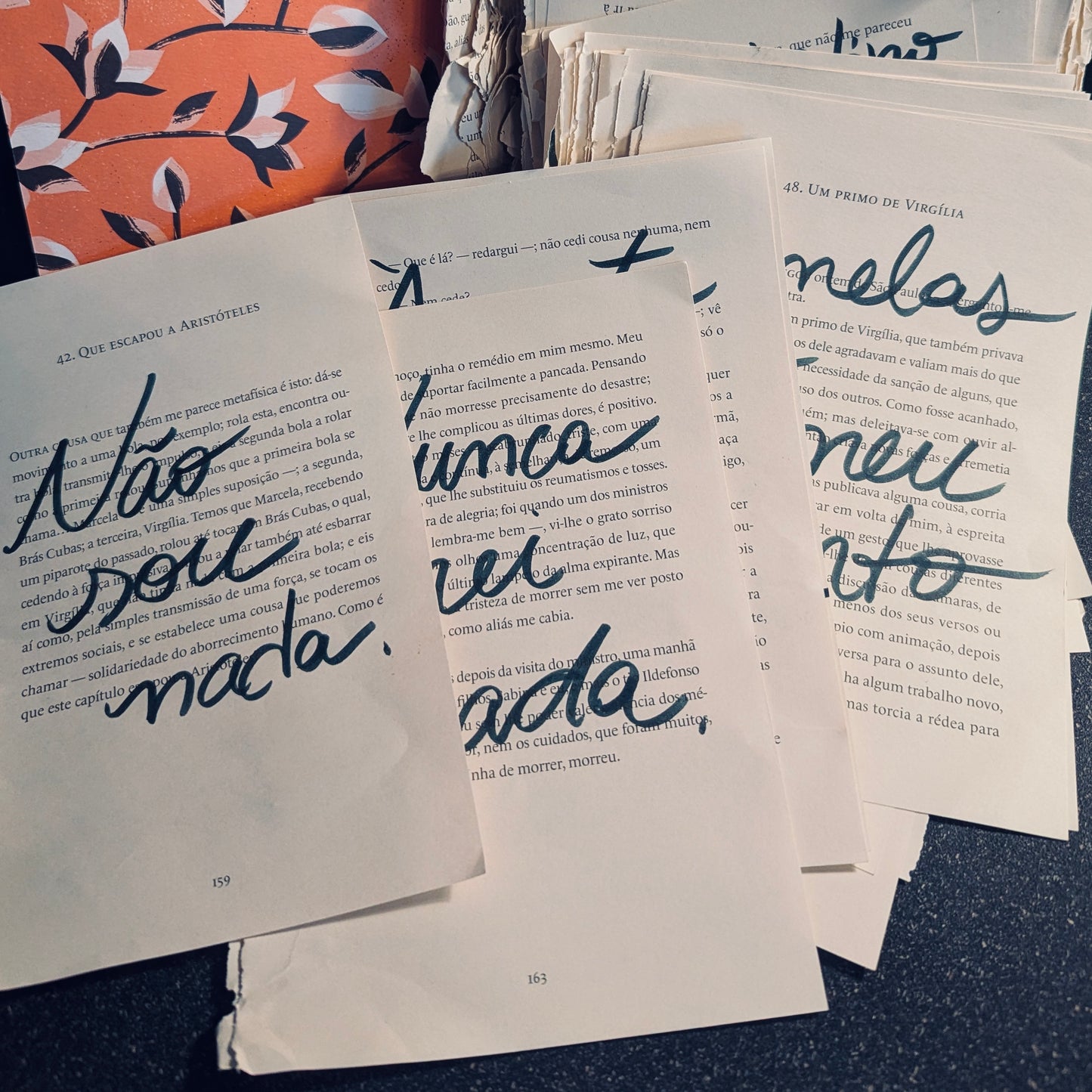 Book Pages from the Dreamerie Video