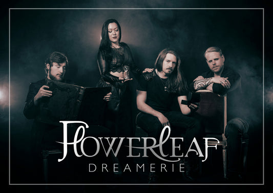 Dreamerie Postcard